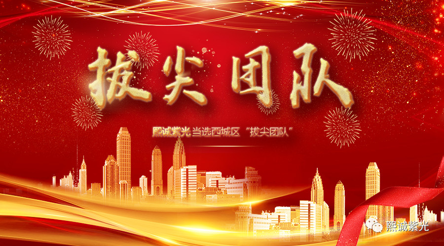 “拔尖團隊”！就是熙誠紫光